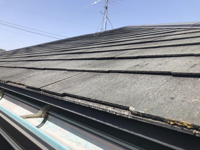 スレート　コケ